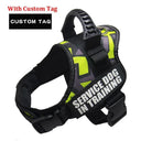 Nylon K9 Reflective Dog Harness Personalized Safety Gear