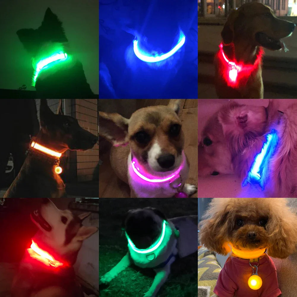 LED Dog Collar: High-Quality Fiber, Three Flash Modes, Visible Nylon  ourlum.com   