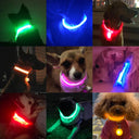 LED Dog Collar: High-Quality Fiber, Three Flash Modes, Visible Nylon  ourlum.com   