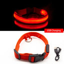 LED Dog Collar: High-Quality Fiber, Three Flash Modes, Visible Nylon  ourlum.com Red USB Charging XS  NECK 28-38 CM 