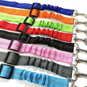 Enhanced Adjustable Car Pet Seat Belt with Reflective Nylon Strap and Elastic Bumper  ourlum.com   