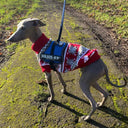 Cartoon Pet Dog Sweater: Stylish Winter Clothing for Small Breeds  ourlum.com   