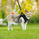 Breathable Cat Harness & Leash Set for Safe Outdoor Adventures