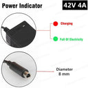 Electric Bike Charger: Efficient & Safe Charging for  M365 Pro  ourlum.com DC 8 mm US 