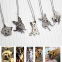 Personalized Stainless Steel Pet Photo Necklace and Keychain Combo Gift