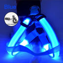 Luminous LED Dog Harness: Night Safety Nylon Collar & Light for Running  ourlum.com   