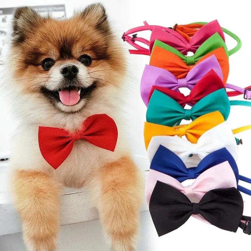 Adjustable Pet Necklace with Bow Tie Design for Dogs and Cats  ourlum.com   