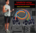 Versatile 12-Piece Resistance Bands Set for Home Fitness