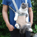 Adjustable Cat Carrier Backpack: Stylish & Comfortable Travel Solution  ourlum.com   