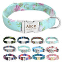 Personalized Nylon Dog Collar with Free Engraving: Stylish & Safe Pet Accessory  ourlum.com   