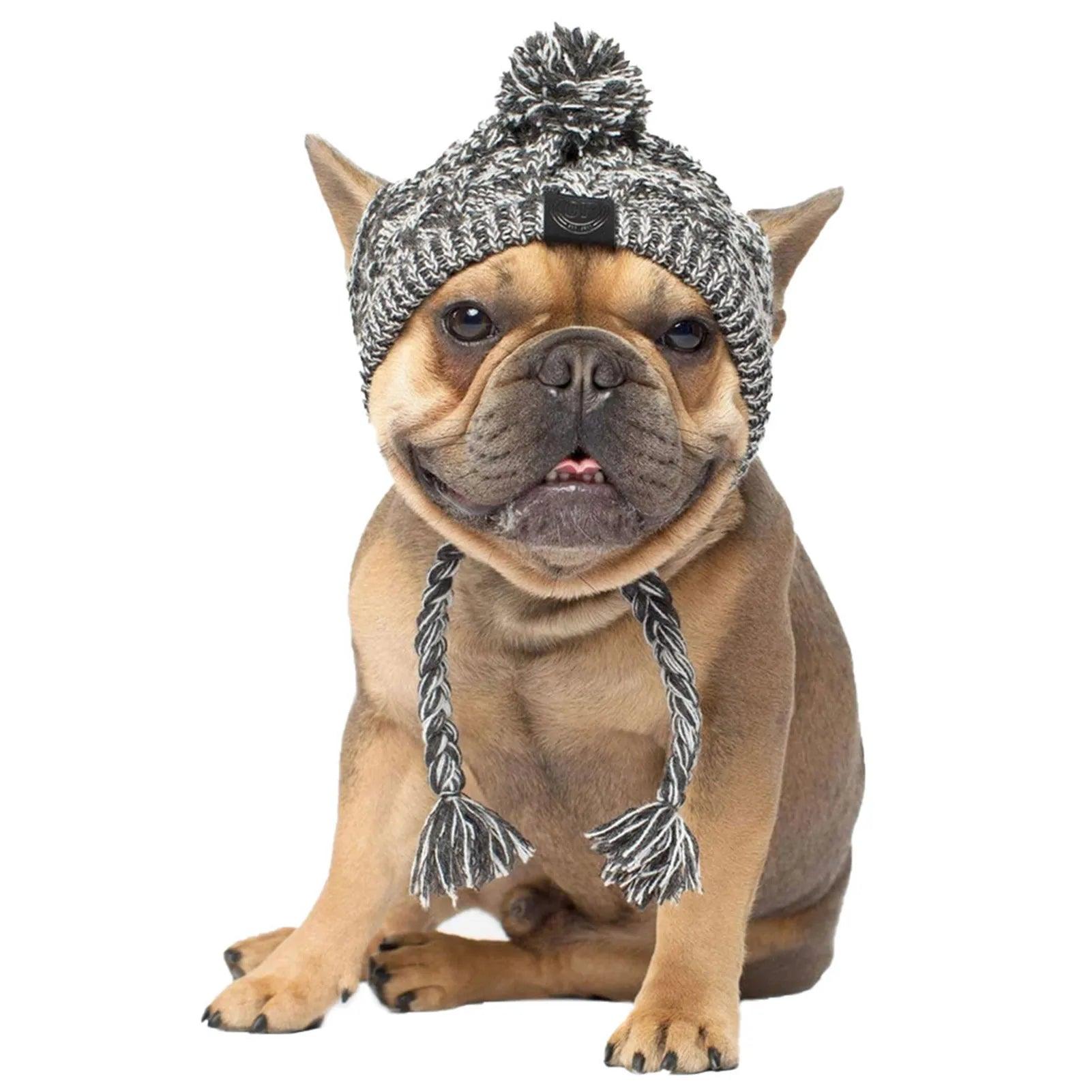 Winter Dog Hats Knitting French Bulldog & Chihuahua Accessories  ourlum.com   