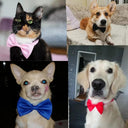 Adjustable Pet Necklace with Bow Tie Design for Dogs Cats