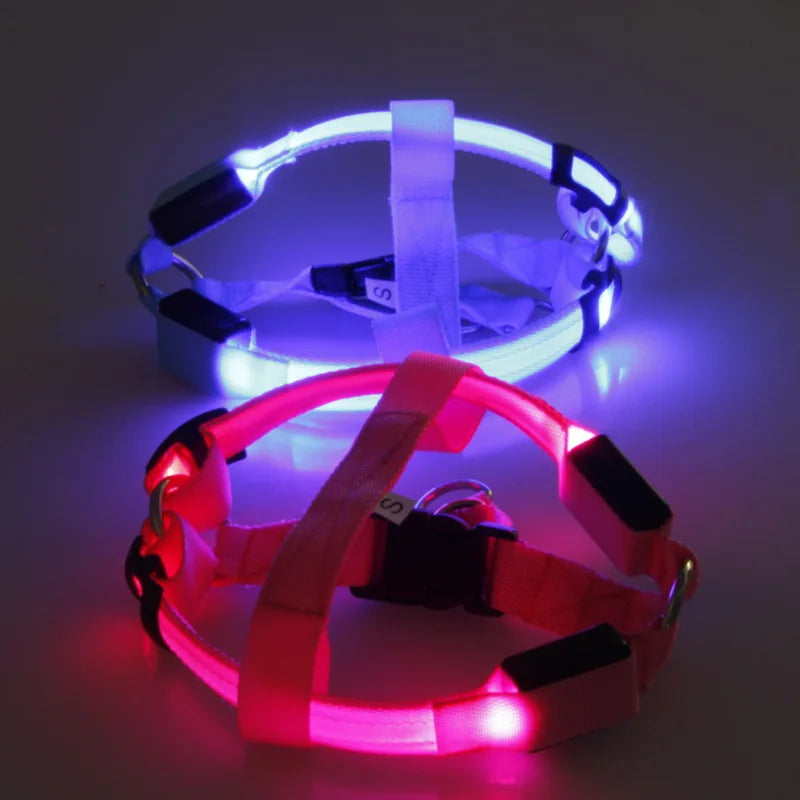 Luminous LED Dog Harness: Night Safety Nylon Collar & Light for Running  ourlum.com   