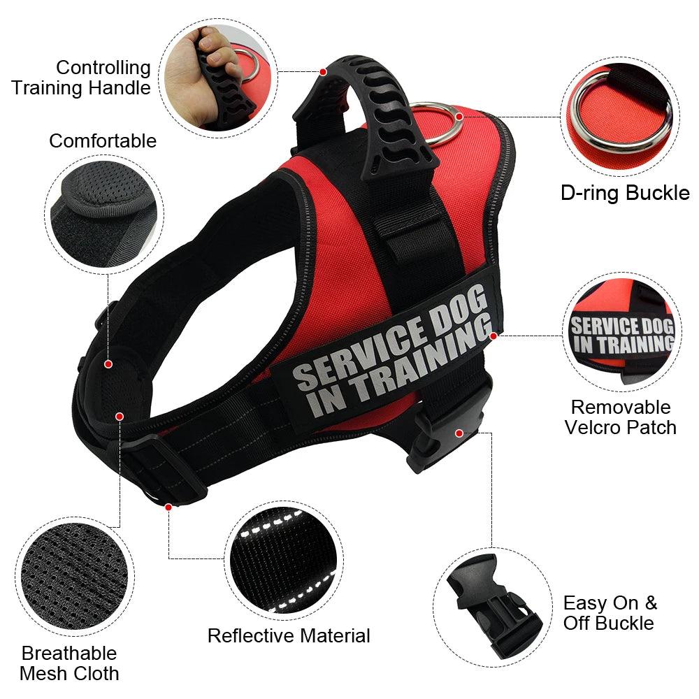 Personalized Reflective Nylon K9 Dog Harness for Small, Medium, and Large Dogs  ourlum.com   