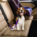 Adjustable Pet Car Seat Belt Harness for Small to Medium Dogs - Travel Safety Leash Clip - Choose from 13 Vibrant Colors  ourlum.com   