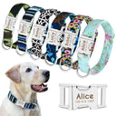 Personalized Nylon Dog Collar with Free Engraving: Stylish & Safe Pet Accessory  ourlum.com   