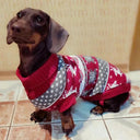 Cartoon Pet Dog Sweater: Stylish Winter Clothing for Small Breeds  ourlum.com   