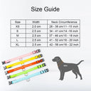 LED Dog Collar: High-Quality Fiber, Three Flash Modes, Visible Nylon  ourlum.com   