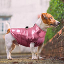 Waterproof Reflective Dog Vest with Harness: Winter Jacket for Small Medium Dogs  ourlum.com   