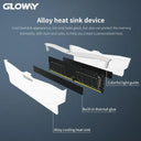 Gloway RGB Memory RAM Upgrade: Elevate Gaming & Work Experience  ourlum.com   