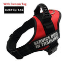 Nylon K9 Reflective Dog Harness Personalized Safety Gear