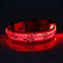 LED Dog Collar: Glow-in-the-dark Nylon Safety Pet Collar  ourlum.com Red S 22-40cm 