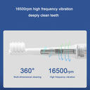 T100 Electric Toothbrush Sonic Toothbrush Heads USB Rechargeable