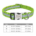 Engraved Nylon Pet ID Collar with Nameplate for Dogs: Personalized Safety Tag Collar  ourlum.com 095GREEN S 