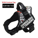 Nylon K9 Reflective Dog Harness Personalized Safety Gear