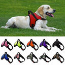 Adjustable Reflective Breathable Pet Harness with Leash: Upgrade Your Pet's Walks  ourlum.com   