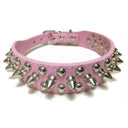 Adjustable Punk Rivet Spiked Leather Pet Collar Stylish Accessory