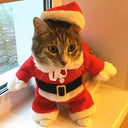 Funny Santa Cat Costumes: Cute Christmas Pet Outfits  ourlum.com Red XS 