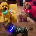 LED Glow Safety Dog Collar: Bright Night Light for Pets  ourlum.com   