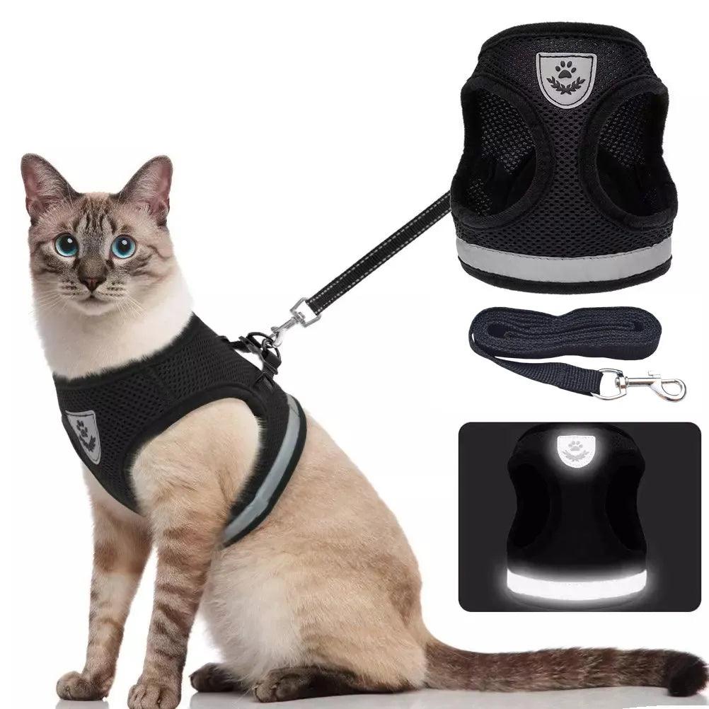 Breathable Cat Harness & Leash Set: Escape Proof Vest for Pets  ourlum.com   