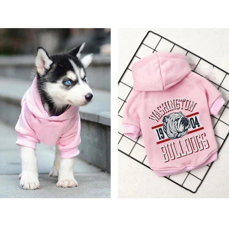 Winter Cotton Dog Hoodies: Stylish & Warm Pet Clothing for French Bulldogs  ourlum.com   