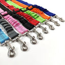 Enhanced Adjustable Car Pet Seat Belt with Reflective Nylon Strap and Elastic Bumper  ourlum.com   