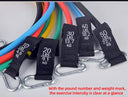 Versatile 12-Piece Resistance Bands Set for Home Fitness