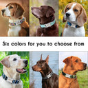 Personalized Nylon Dog Collar with Free Engraving: Stylish & Safe Pet Accessory  ourlum.com   