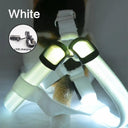 Luminous LED Dog Harness: Night Safety Nylon Collar & Light for Running  ourlum.com WHITE XS 30-35cm 