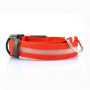 LED Glow Safety Dog Collar: Bright Night Light for Pets  ourlum.com Red XS 28-38 cm 