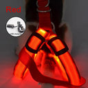 Luminous LED Dog Harness: Night Safety Nylon Collar & Light for Running  ourlum.com Red XS 30-35cm 