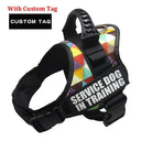 Nylon K9 Reflective Dog Harness Personalized Safety Gear