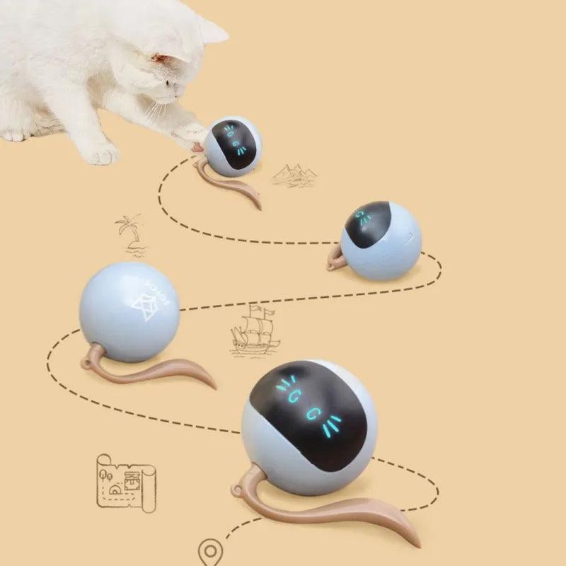 Interactive LED Cat Toy: Engage, Entertain & Exercise Your Pet  ourlum.com   