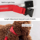 LED Glow Safety Dog Collar: Bright Night Light for Pets  ourlum.com   