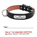 Personalized Leather Dog Collar with ID for Small to Large Pets  ourlum.com   