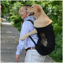 Ventilated Outdoor Dog Carrier Backpack for Hiking Cycling