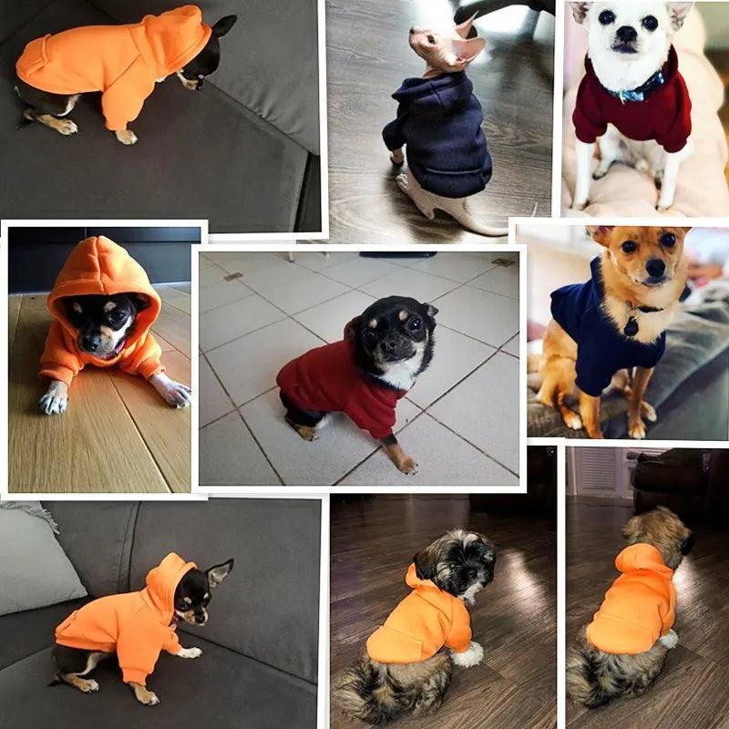 Cozy Dog Coat: Stylish Warm Apparel for Small & Large Breeds  ourlum.com   