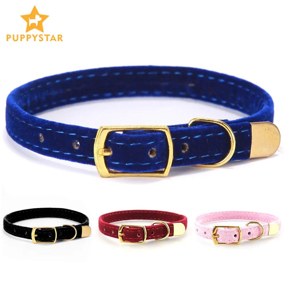 Cat Collar with Bell Safety Breakaway Design for Small Dogs & Cats  ourlum.com   