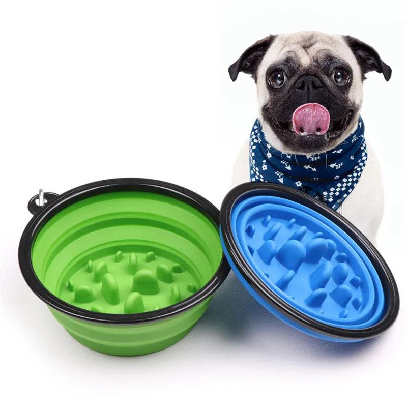 Travel Foldable Dog Bowl: Convenient Pet Feeder for On-the-Go Owners  ourlum.com   