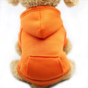 Cozy Dog Coat: Stylish Warm Apparel for Small & Large Breeds  ourlum.com Orange XS 